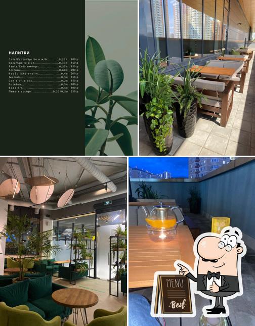 Green Lounge