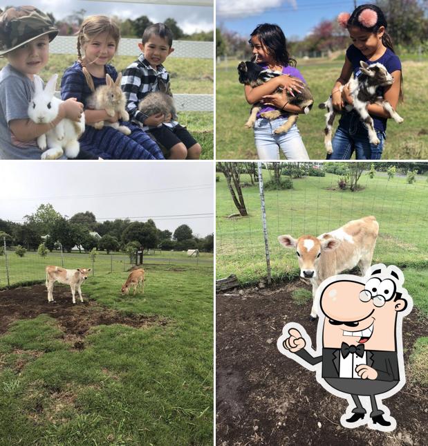 The Lili House Farm