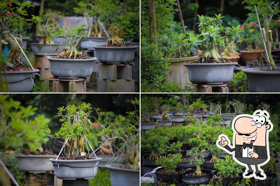 บ้านชวนชม ChuanChom Farm