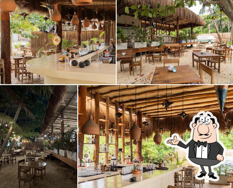 La Milpa Tulum