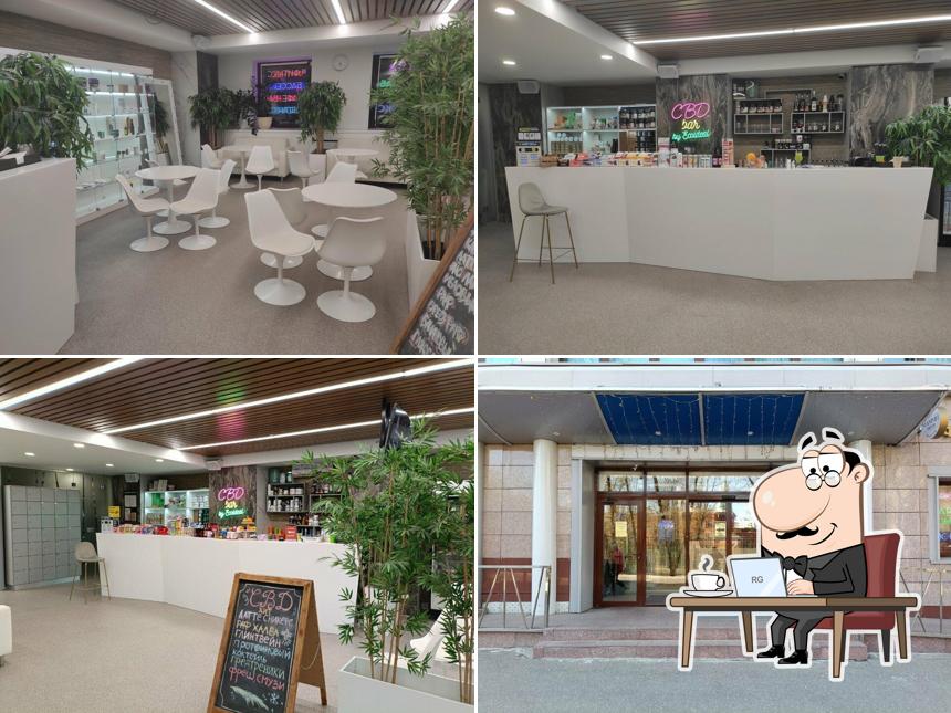 Cbd Bar by Ecoideal