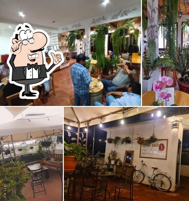 Río Azul Coffee Shop