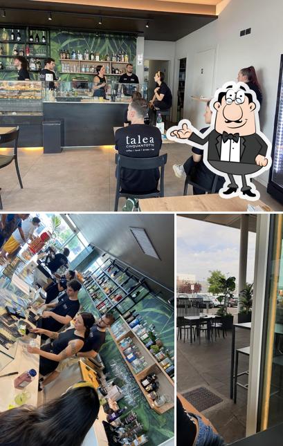 TALEA 58