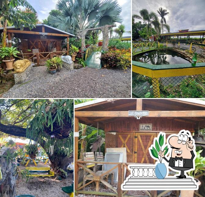 RANCHO VIEJO