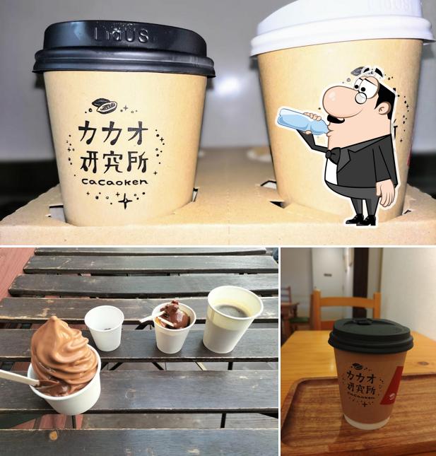 カカオ研究所 cacaoken
