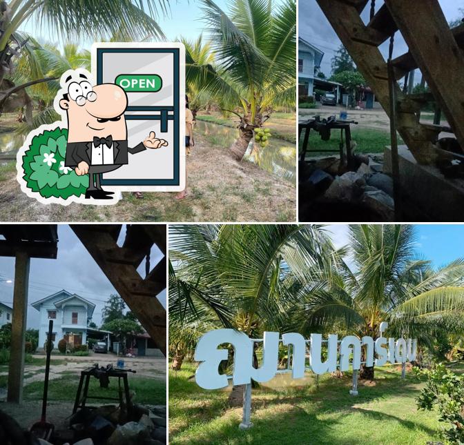 ฌานการ์เด้น-Chan Garden คาเฟ่ในสวนมะพร้าว สวนอาหารและเครื่องดื่ม