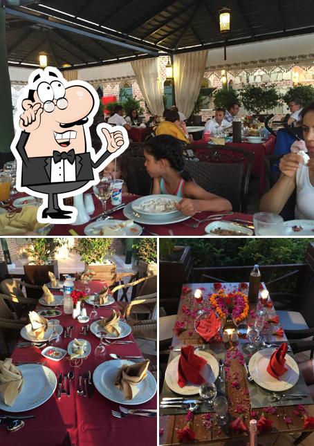 Ottoman Turkish Cuisine Pasha Restaurant