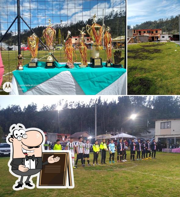 Complejo deportivo el Mol