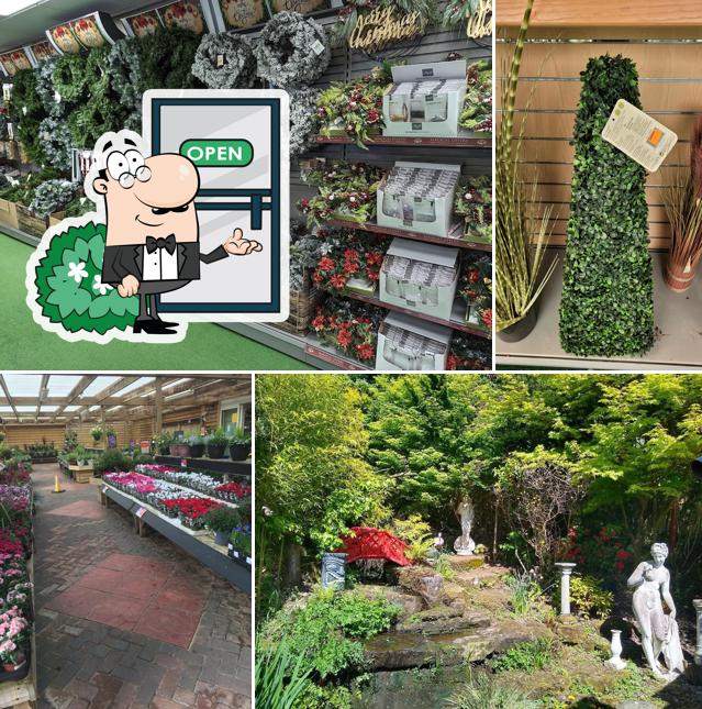 Cardwell Garden Centre