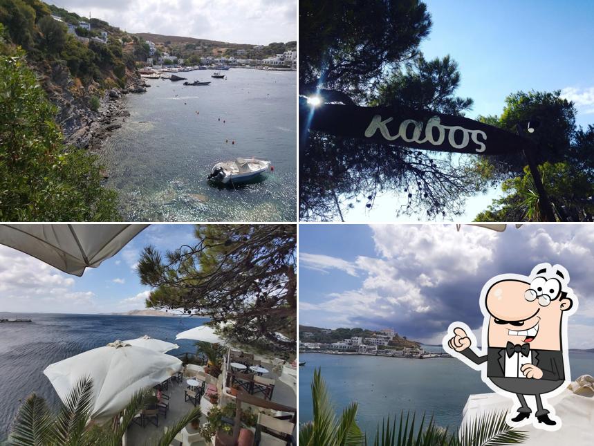 Kavos Lounge Cafe