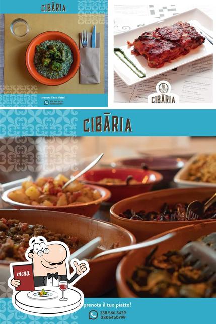 Cibaria