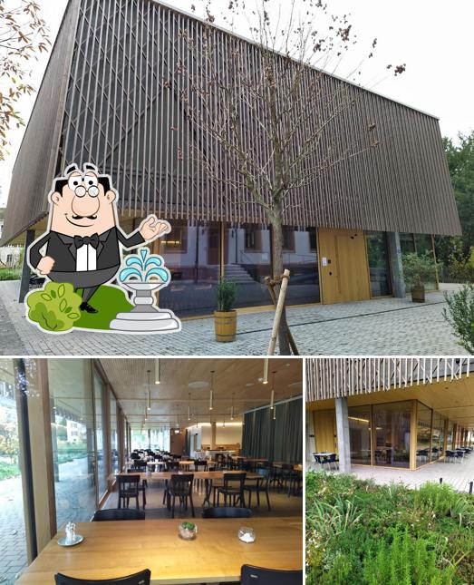 Ayledo Restaurant