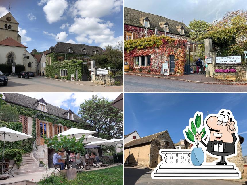 Le Cellier Volnaysien