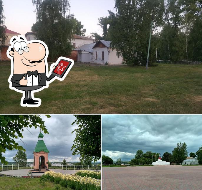Лебедь