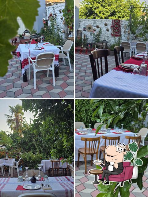 Taste Home Shkoder