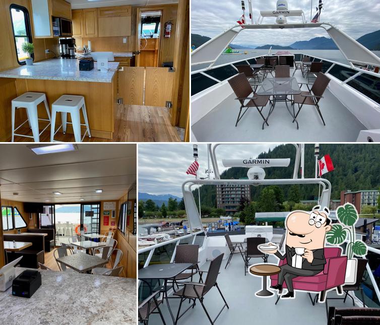 Shoreline Tours