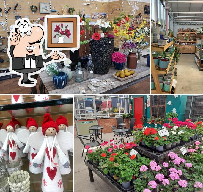 Skelton Garden Centre and Cafe