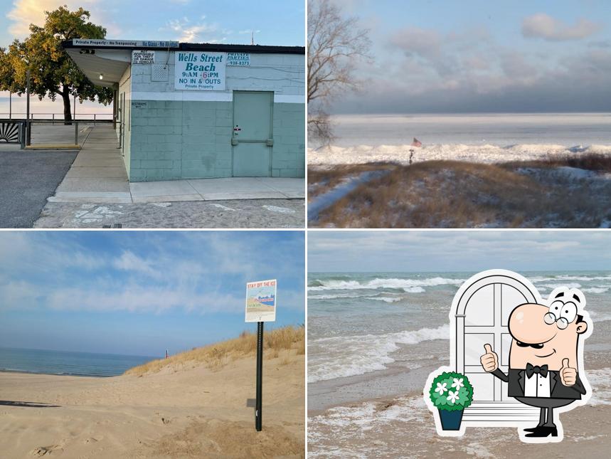 Wells Street Beach Inc.