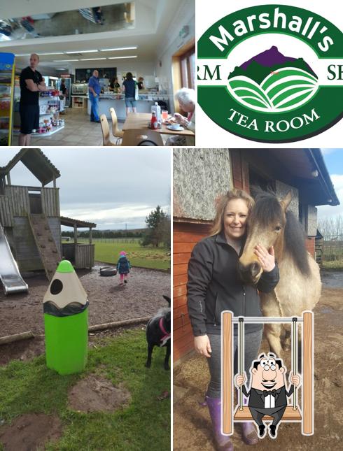 Marshall's Farm Shop