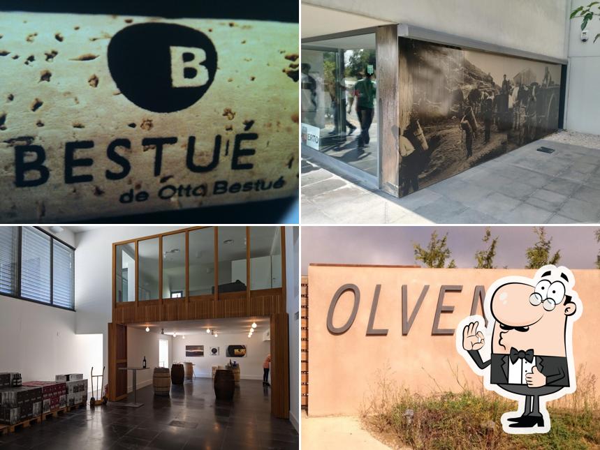 Bodega Otto Bestué