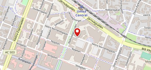 Angelini Umeå на карте