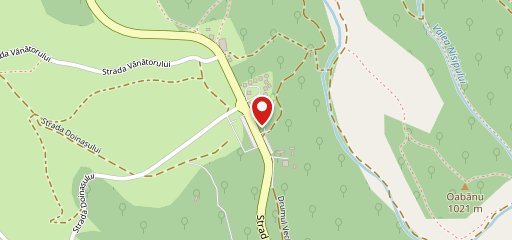 Restaurant Caprioara на карте