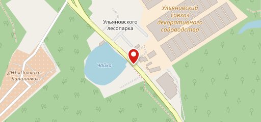 Чайка на карте