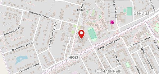 Чиж и компания на карте