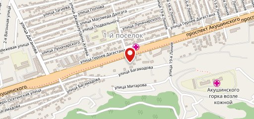 Vianor на карте