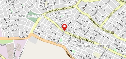 Domino's Pizza Demirtaş на карте