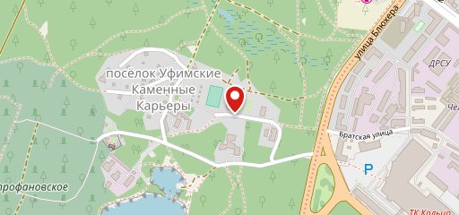 Досуговый конный центр "Пегас" Chelyabinsk на карте
