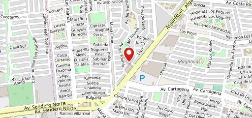 ''El TorO Apodaca на карте