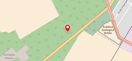 Forest Events на карте