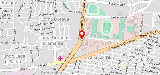 Homero Ranchero Durango на карте