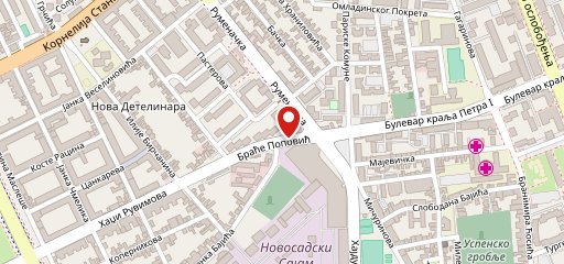 LOCAL NS на карте