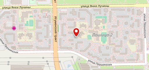 Никита и кошки на карте