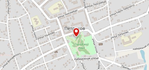 Петриков на карте