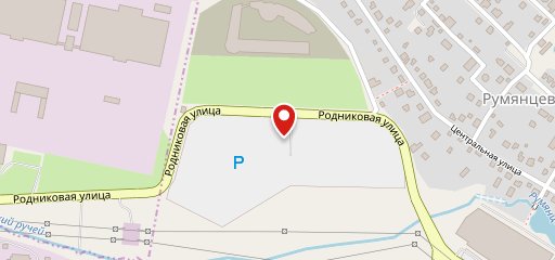 Пион на карте