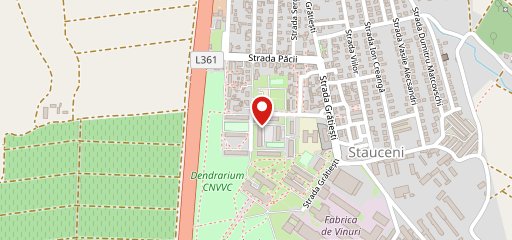 Pivasik на карте
