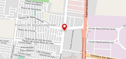 Máster Pollo Express Paseos de Aguascalientes на карте