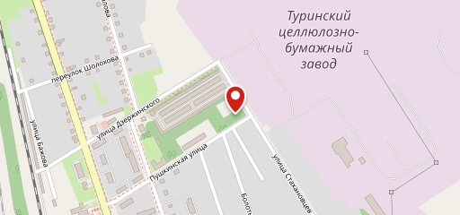 Россиянка на карте