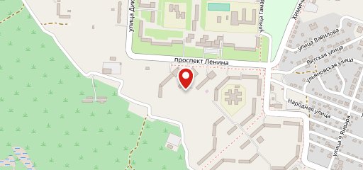 Рыжий кот на карте