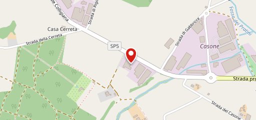 Salcis на карте