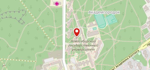 Столовая НГУ на карте