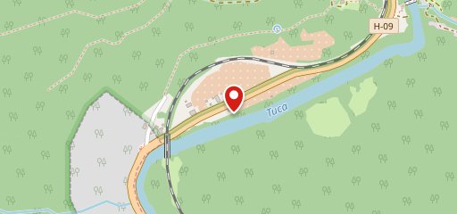 Тис на карте