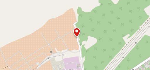 В лесу на карте