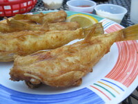 dish