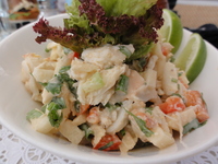 dish