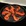 dish