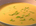 dish